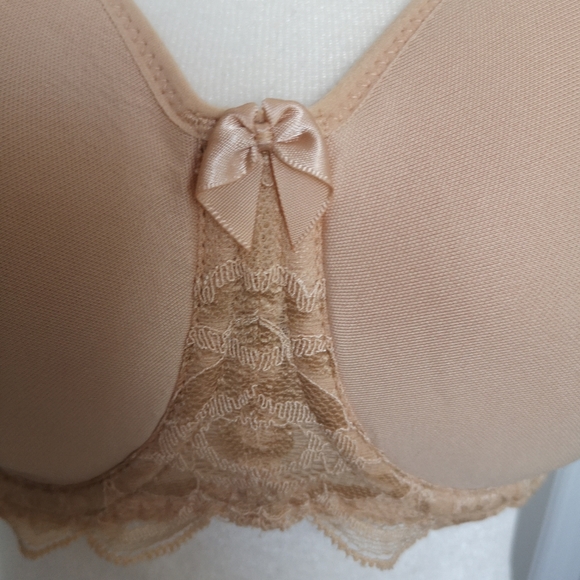 30GG(J) Fantasie Rebecca Spacer Bra - Picture 6 of 8